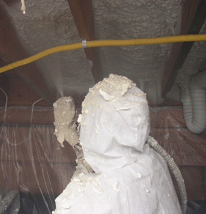 Baton Rouge LA crawl space insulation